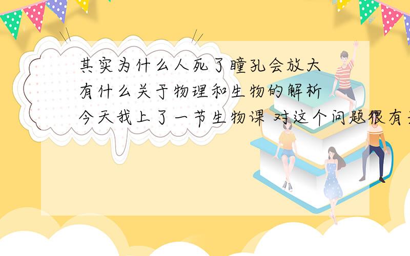 其实为什么人死了瞳孔会放大 有什么关于物理和生物的解析 今天我上了一节生物课 对这个问题很有兴趣 不知哪位高人能为我解开谜团/