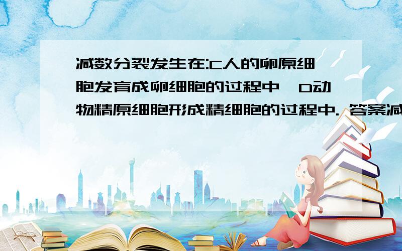 减数分裂发生在:C人的卵原细胞发育成卵细胞的过程中,D动物精原细胞形成精细胞的过程中. 答案减数分裂发生在:C人的卵原细胞发育成卵细胞的过程中,D动物精原细胞形成精细胞的过程中.