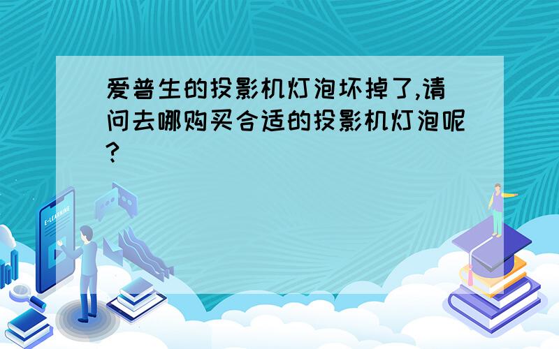 爱普生的投影机灯泡坏掉了,请问去哪购买合适的投影机灯泡呢?