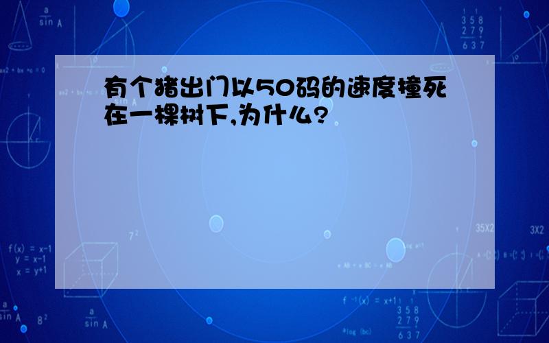 有个猪出门以50码的速度撞死在一棵树下,为什么?