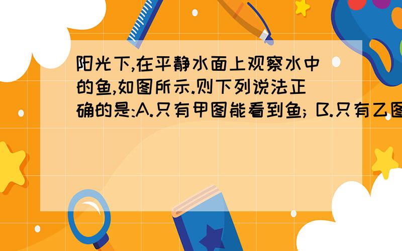 阳光下,在平静水面上观察水中的鱼,如图所示.则下列说法正确的是:A.只有甲图能看到鱼; B.只有乙图能看到鱼;C.只有丙图能看到鱼; D.四个图都能看到鱼选什么 原因是什么