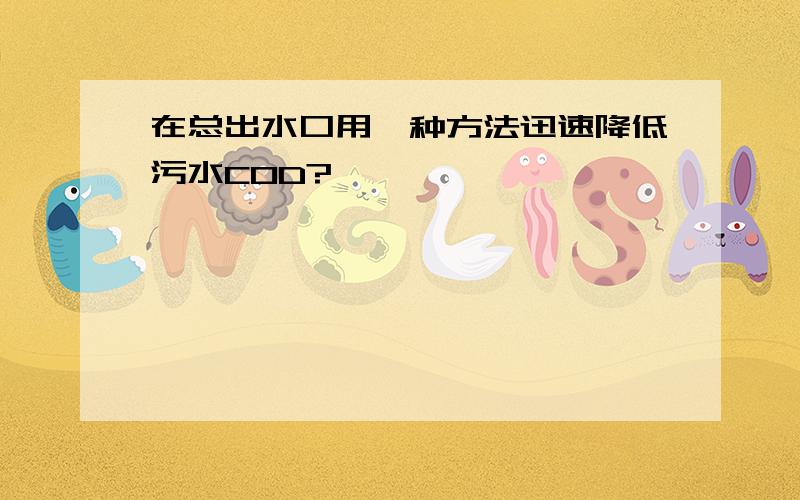 在总出水口用一种方法迅速降低污水COD?