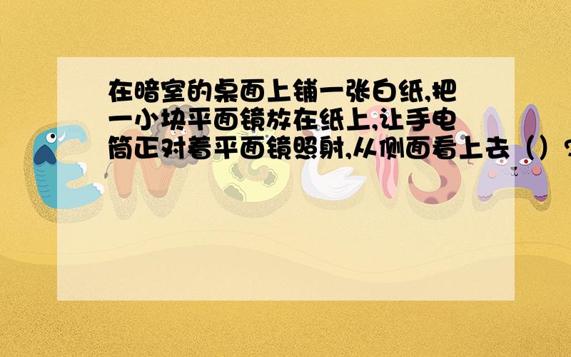 在暗室的桌面上铺一张白纸,把一小块平面镜放在纸上,让手电筒正对着平面镜照射,从侧面看上去（）?A.平面镜比较亮,它发生了镜面反射.B.平面镜比较暗,它发生了镜面反射.C.白纸比较亮,它发