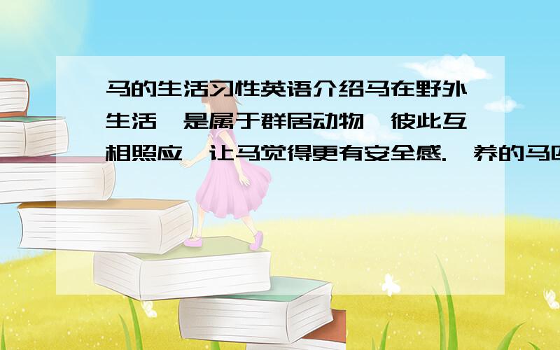 马的生活习性英语介绍马在野外生活,是属于群居动物,彼此互相照应,让马觉得更有安全感.豢养的马匹,有的虽然一匹马住一个马厩,但是马也非常需要同伴.通常在马场内养一些其他的动物,如