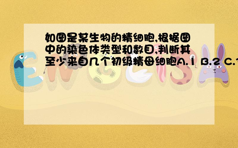 如图是某生物的精细胞,根据图中的染色体类型和数目,判断其至少来自几个初级精母细胞A.1 B.2 C.3 D.4正确答案是B,为什么,请详解,