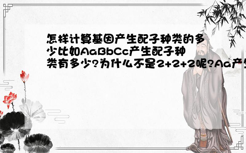 怎样计算基因产生配子种类的多少比如AaBbCc产生配子种类有多少?为什么不是2+2+2呢?Aa产生两种配子,Bb不也是两种么?