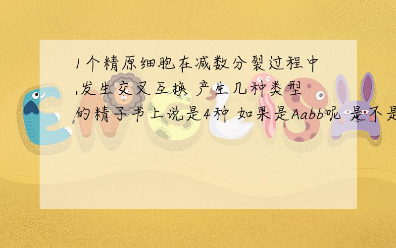 1个精原细胞在减数分裂过程中,发生交叉互换 产生几种类型的精子书上说是4种 如果是Aabb呢 是不是只有两种.