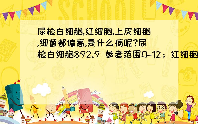 尿检白细胞,红细胞,上皮细胞,细菌都偏高,是什么病呢?尿检白细胞892.9 参考范围0-12；红细胞89.4 参考范围0-12;上皮细胞13 参考范围0-10;细菌5912.9 参考范围0-2500;尿蛋白+,隐血++,这是什么病?尿道