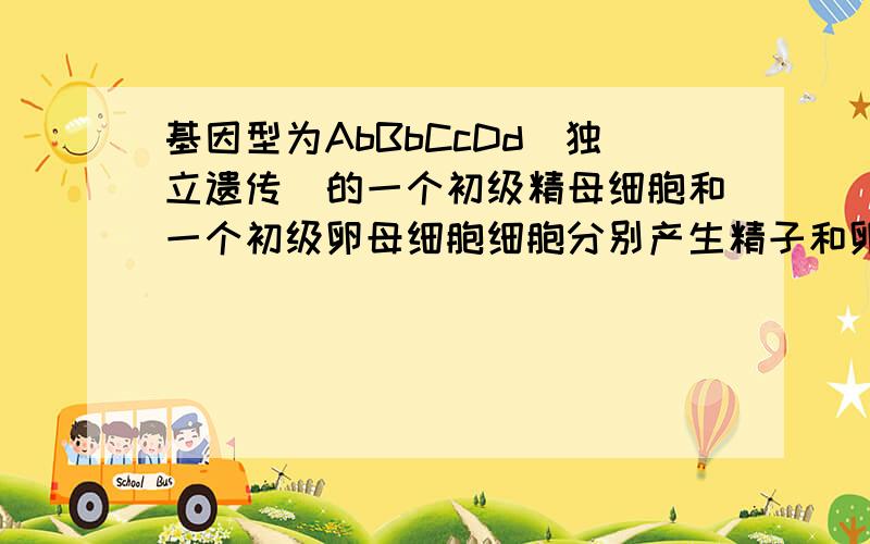 基因型为AbBbCcDd（独立遗传）的一个初级精母细胞和一个初级卵母细胞细胞分别产生精子和卵细胞的基因型的种类数比为?A:4:1B:3:1C:2:1D:1:1求详解