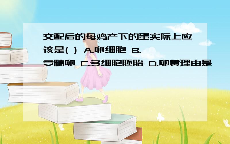 交配后的母鸡产下的蛋实际上应该是( ) A.卵细胞 B.受精卵 C.多细胞胚胎 D.卵黄理由是