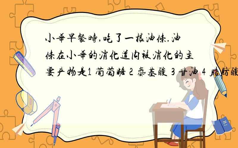 小华早餐时,吃了一根油条.油条在小华的消化道内被消化的主要产物是1 葡萄糖 2 氨基酸 3 甘油 4 脂肪酸 5 无机盐 6 维生素 7 水麻烦讲的详细一点.