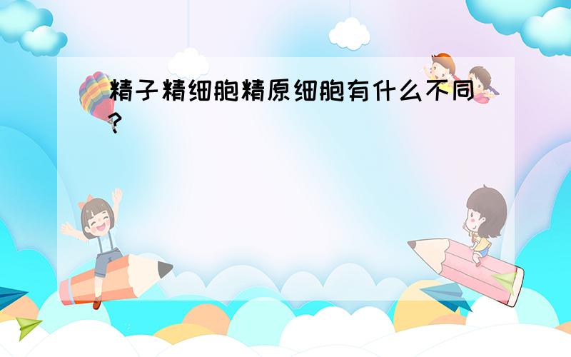 精子精细胞精原细胞有什么不同?