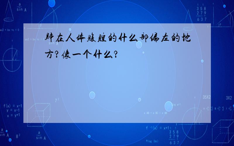 肺在人体腹腔的什么部偏左的地方?像一个什么?