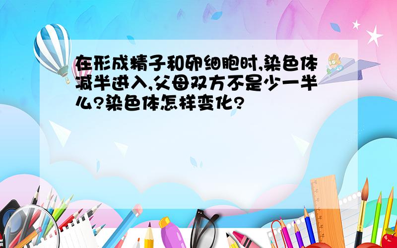 在形成精子和卵细胞时,染色体减半进入,父母双方不是少一半么?染色体怎样变化?