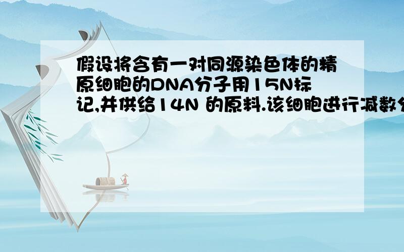 假设将含有一对同源染色体的精原细胞的DNA分子用15N标记,并供给14N 的原料.该细胞进行减数分裂产生假设将含有一对同源染色体的精原细胞的DNA分子用15N标记,并供给14N 的原料.该细胞进行减