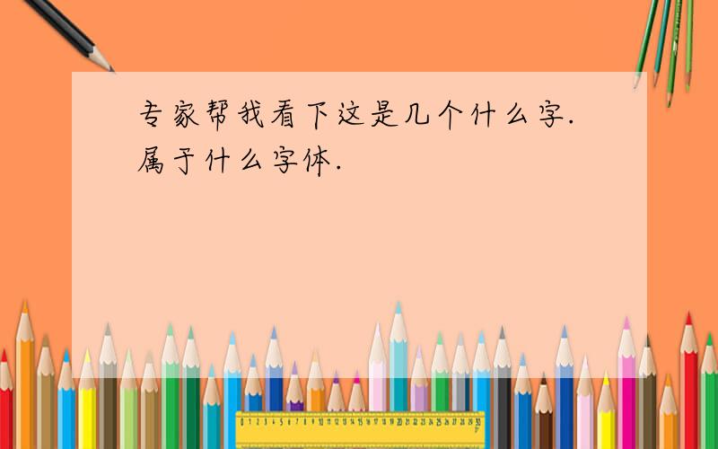 专家帮我看下这是几个什么字.属于什么字体.