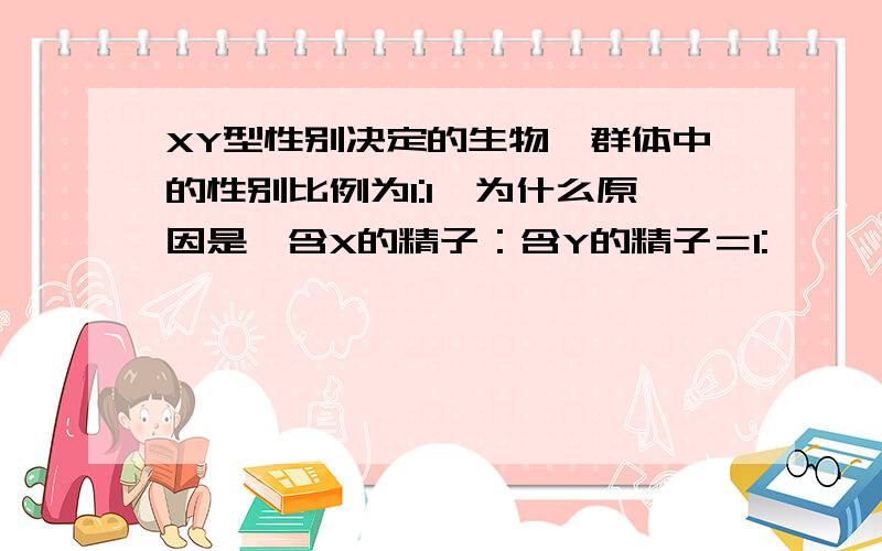 XY型性别决定的生物,群体中的性别比例为1:1,为什么原因是【含X的精子：含Y的精子＝1: