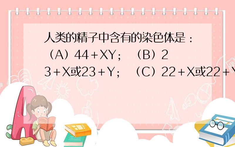 人类的精子中含有的染色体是：（A）44＋XY； （B）23＋X或23＋Y； （C）22＋X或22＋Y； （D）44＋XX