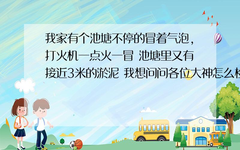 我家有个池塘不停的冒着气泡,打火机一点火一冒 池塘里又有接近3米的淤泥 我想问问各位大神怎么检测出...我家有个池塘不停的冒着气泡,打火机一点火一冒池塘里又有接近3米的淤泥我想问