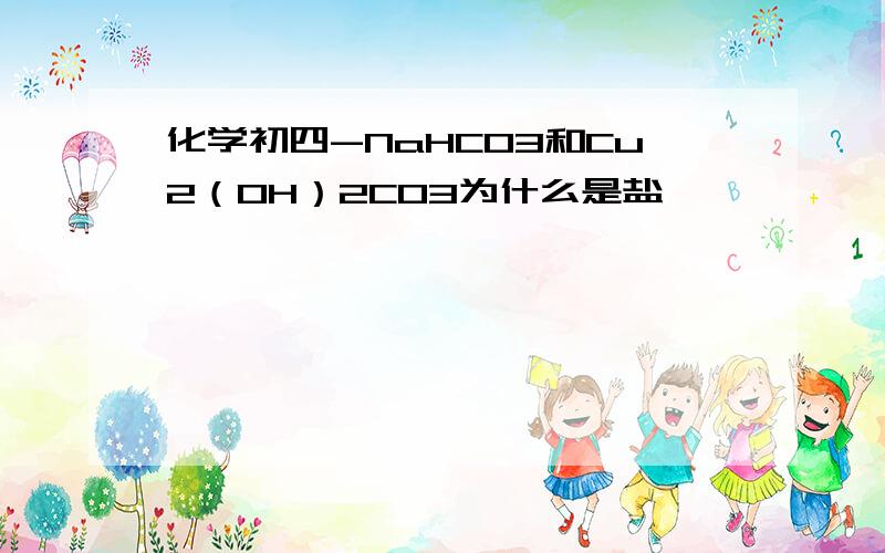 化学初四-NaHCO3和Cu2（OH）2CO3为什么是盐