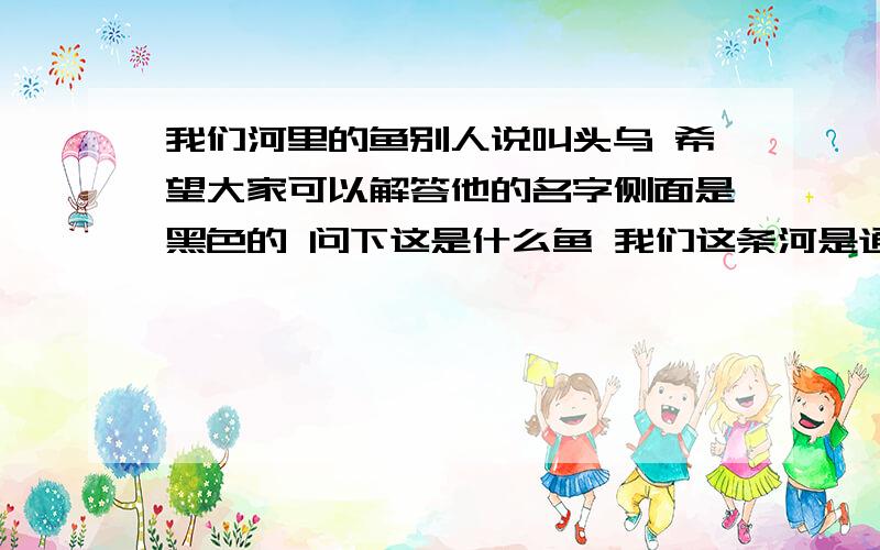 我们河里的鱼别人说叫头乌 希望大家可以解答他的名字侧面是黑色的 问下这是什么鱼 我们这条河是通江河