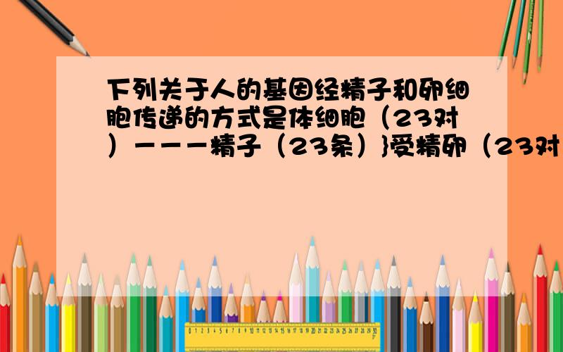 下列关于人的基因经精子和卵细胞传递的方式是体细胞（23对）－－－精子（23条）}受精卵（23对）—————————卵细胞（23条）}