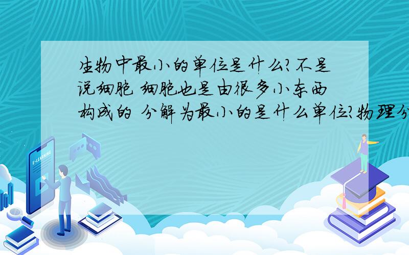 生物中最小的单位是什么?不是说细胞 细胞也是由很多小东西构成的 分解为最小的是什么单位?物理分解为最小的 又是什么单位?