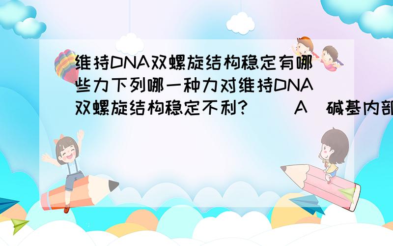 维持DNA双螺旋结构稳定有哪些力下列哪一种力对维持DNA双螺旋结构稳定不利?( )A．碱基内部相互堆积作用 B．分子疏水作用C．碱基对之间的氢键 D．离子(带电磷酸基)间的相互作用