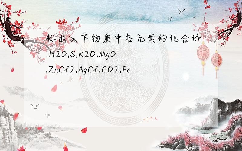 标出以下物质中各元素的化合价:H2O,S,K2O,MgO,ZnCl2,AgCl,CO2,Fe