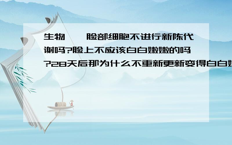 生物——脸部细胞不进行新陈代谢吗?脸上不应该白白嫩嫩的吗?28天后那为什么不重新更新变得白白嫩嫩？