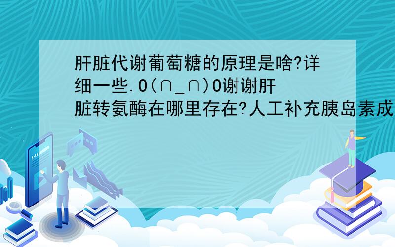 肝脏代谢葡萄糖的原理是啥?详细一些.O(∩_∩)O谢谢肝脏转氨酶在哪里存在?人工补充胰岛素成分是?