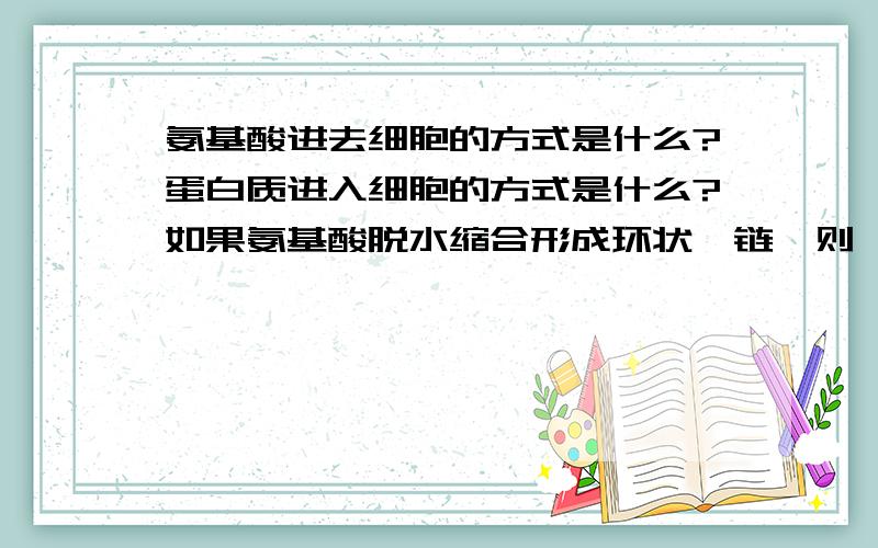 氨基酸进去细胞的方式是什么?蛋白质进入细胞的方式是什么?如果氨基酸脱水缩合形成环状肽链,则肽键数为多少?