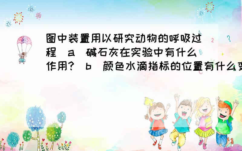 图中装置用以研究动物的呼吸过程（a）碱石灰在实验中有什么作用?（b）颜色水滴指标的位置有什么变化?（c）试解释（b）的变化.（d）你如何装配对照实验的装置?