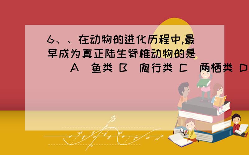 6、、在动物的进化历程中,最早成为真正陆生脊椎动物的是（ ） A．鱼类 B．爬行类 C．两栖类 D．哺乳类