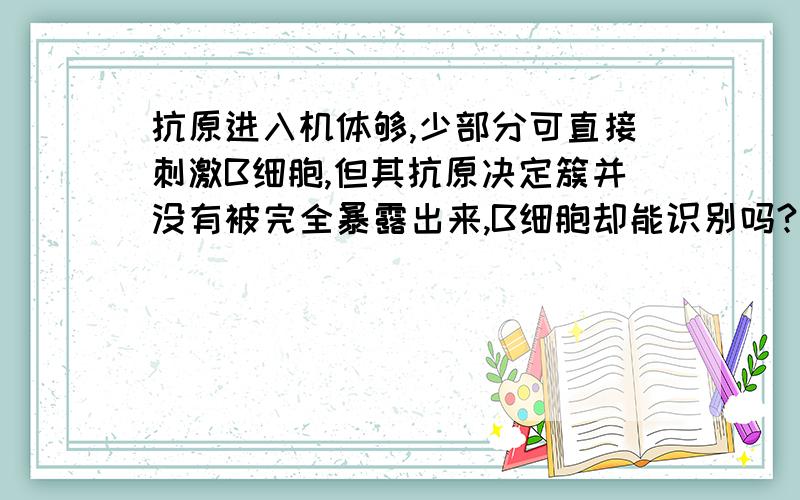 抗原进入机体够,少部分可直接刺激B细胞,但其抗原决定簇并没有被完全暴露出来,B细胞却能识别吗?．若不能,那怎么可以受到刺激而增殖分化为效应B小报呢?若能,隐藏在抗原内的抗原决定簇是