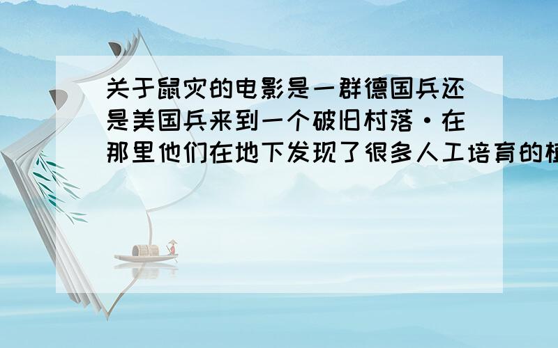 关于鼠灾的电影是一群德国兵还是美国兵来到一个破旧村落·在那里他们在地下发现了很多人工培育的植物·还有很多的老鼠·有个带头的老鼠眼睛是红色的·很红很红·我就一时想不起来了·