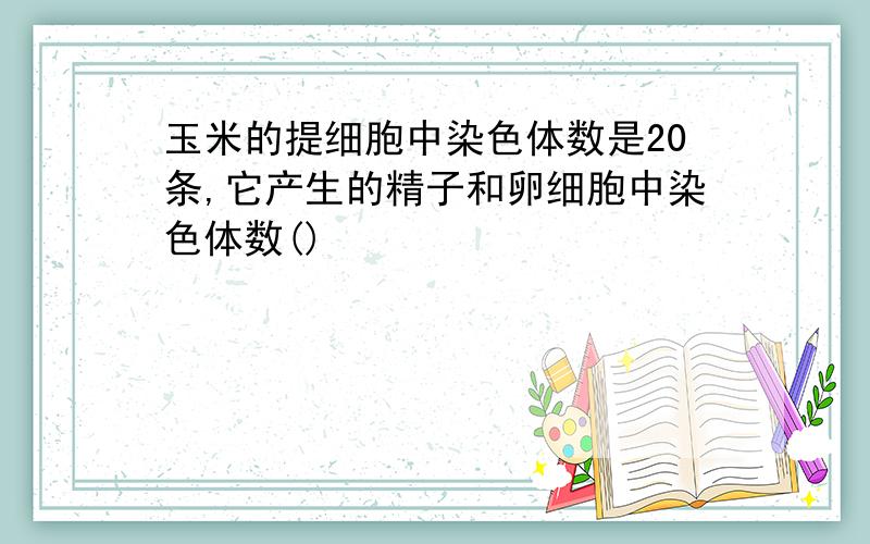 玉米的提细胞中染色体数是20条,它产生的精子和卵细胞中染色体数()