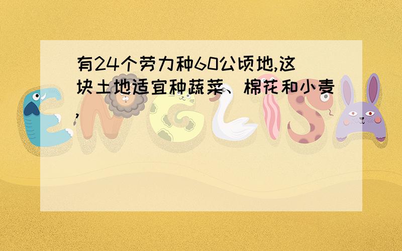 有24个劳力种60公顷地,这块土地适宜种蔬菜、棉花和小麦,