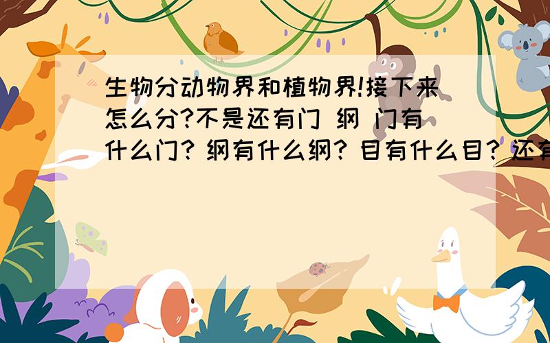 生物分动物界和植物界!接下来怎么分?不是还有门 纲 门有什么门？纲有什么纲？目有什么目？还有接下来的！