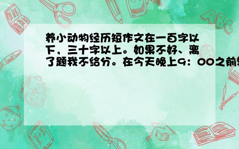 养小动物经历短作文在一百字以下，三十字以上。如果不好、离了题我不给分。在今天晚上9：00之前输入。