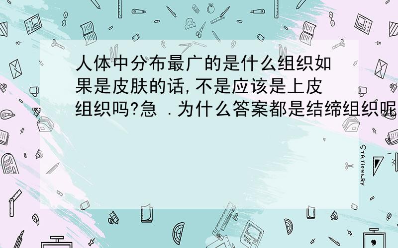 人体中分布最广的是什么组织如果是皮肤的话,不是应该是上皮组织吗?急 .为什么答案都是结缔组织呢?