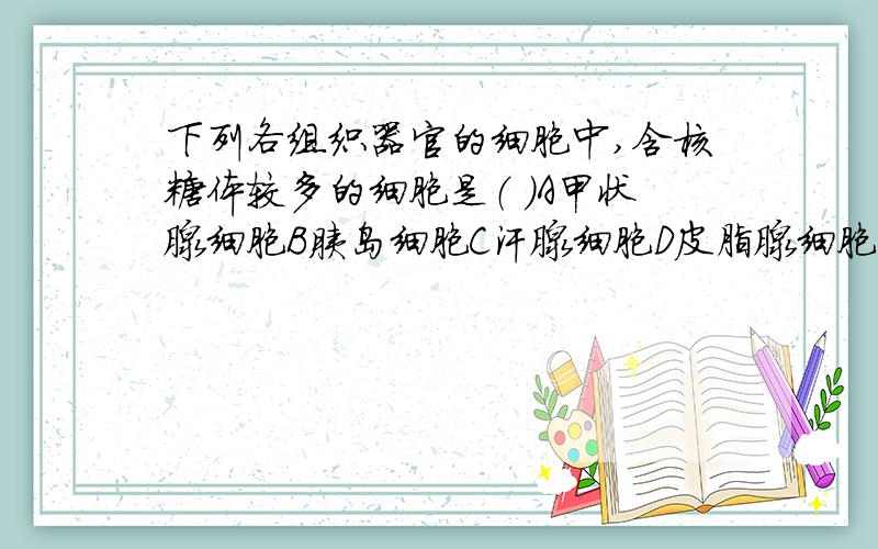 下列各组织器官的细胞中,含核糖体较多的细胞是（ ）A甲状腺细胞B胰岛细胞C汗腺细胞D皮脂腺细胞