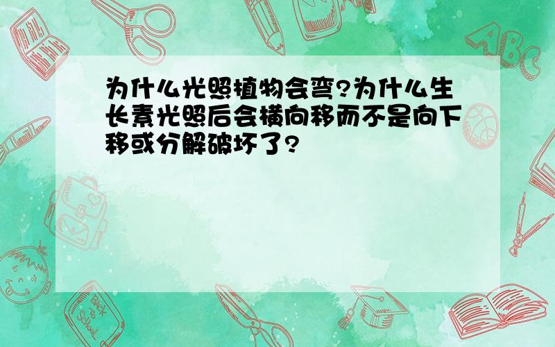 为什么光照植物会弯?为什么生长素光照后会横向移而不是向下移或分解破坏了?