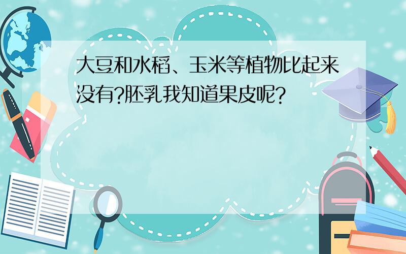 大豆和水稻、玉米等植物比起来没有?胚乳我知道果皮呢?