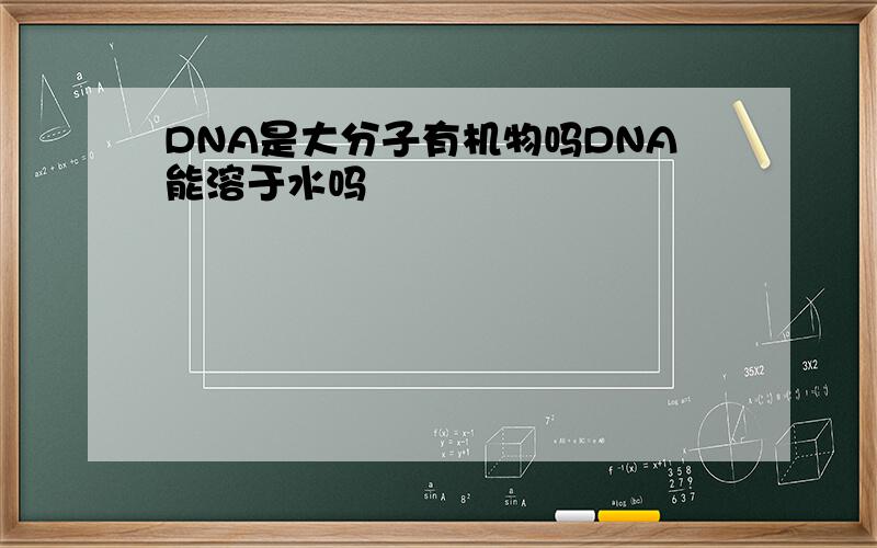 DNA是大分子有机物吗DNA能溶于水吗