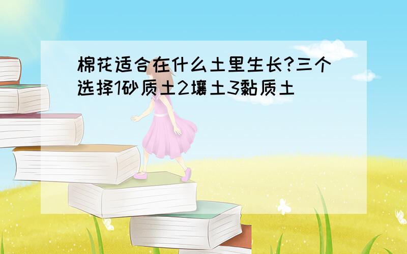 棉花适合在什么土里生长?三个选择1砂质土2壤土3黏质土