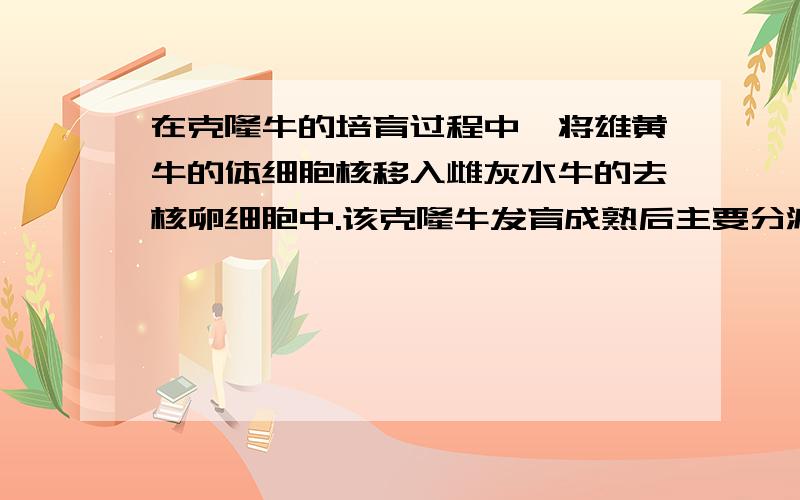 在克隆牛的培育过程中,将雄黄牛的体细胞核移入雌灰水牛的去核卵细胞中.该克隆牛发育成熟后主要分泌的性激素以及它繁殖后代的生殖类型依次是（）A雄激素,卵胎生B雌激素卵生C雄激素胎