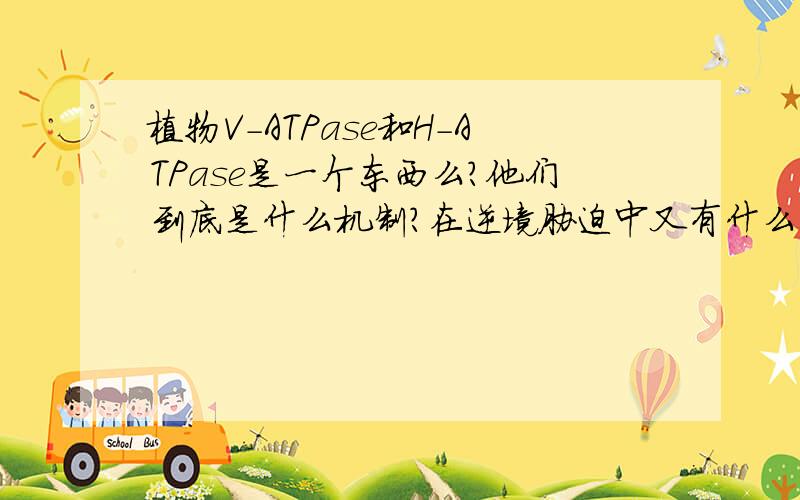 植物V-ATPase和H-ATPase是一个东西么?他们到底是什么机制?在逆境胁迫中又有什么作用?