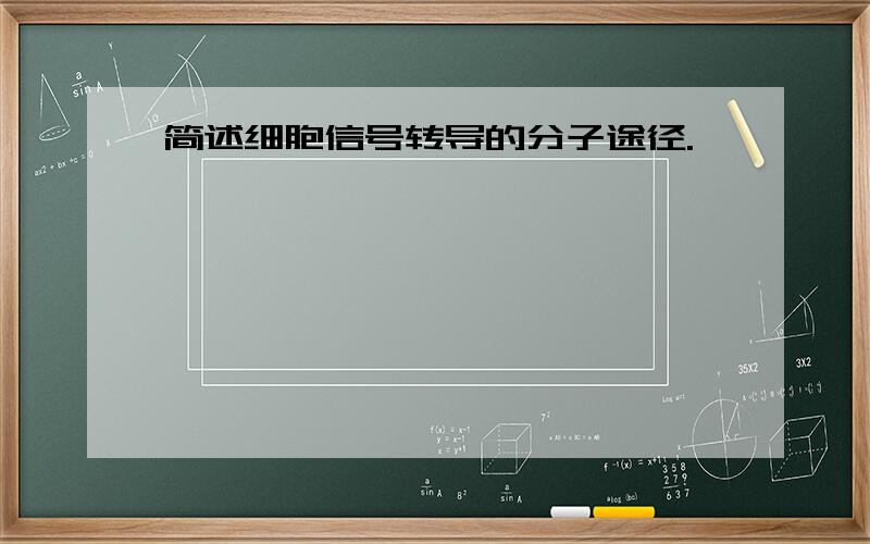 简述细胞信号转导的分子途径.