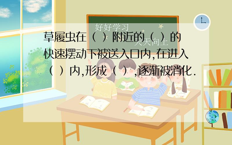 草履虫在（ ）附近的（ ）的快速摆动下被送入口内,在进入（ ）内,形成（ ）,逐渐被消化.